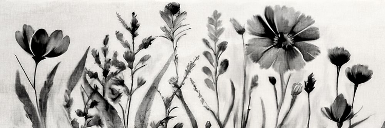 Picture of BLACK WILDFLOWER PANEL