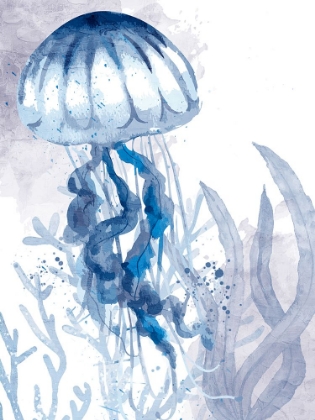 Picture of JELLY SWIM 1 V2