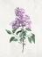Picture of LILACS 2