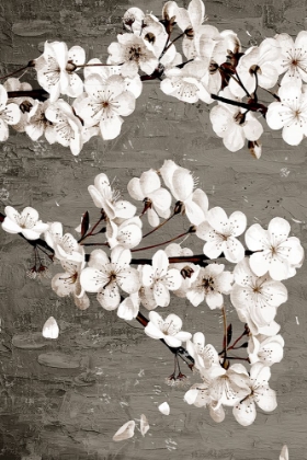 Picture of MAGNOLIAS 1