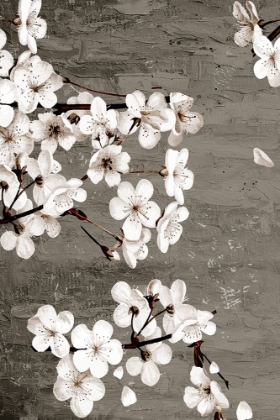 Picture of MAGNOLIAS 2