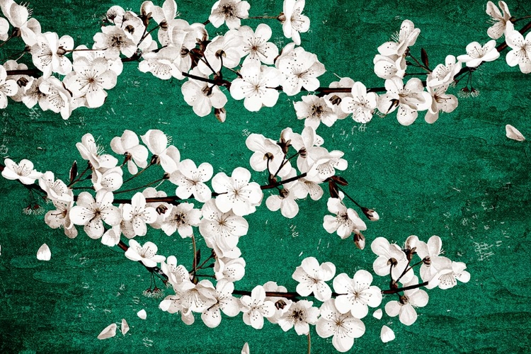 Picture of MAGNOLIA GREEN