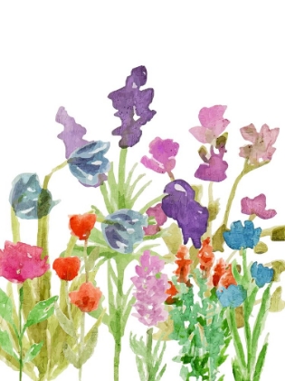 Picture of WILDFLOWER FIELD 1