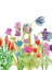 Picture of WILDFLOWER FIELD 2