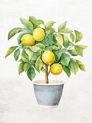 Picture of LEMON TREE 2