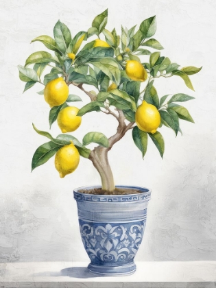 Picture of LEMONS