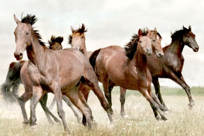 Picture of RUNNING