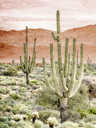 Picture of DESERT HILLS 1