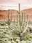 Picture of DESERT HILLS 1