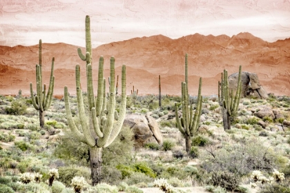 Picture of DESERT HILLS 2