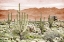 Picture of DESERT HILLS 2