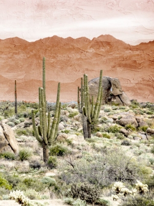 Picture of DESERT HILLS 3