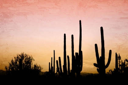 Picture of DESERT SILHOUETTE