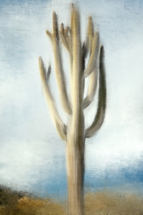 Picture of TALL