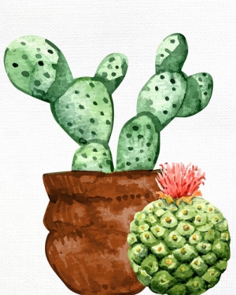 Picture of CACTUS BLOOM 1