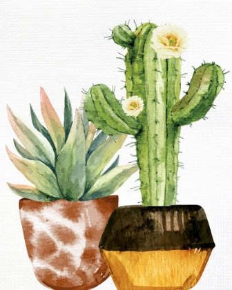 Picture of CACTUS BLOOM 2