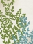 Picture of BOTANICAL BRANCH 1