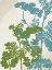 Picture of BOTANICAL BRANCH 2