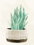 Picture of TEXTURED POTS 1