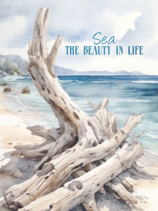 Picture of SEA THE BEAUTY