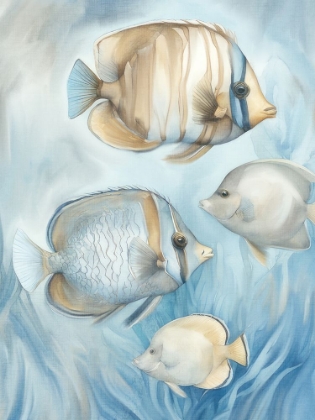 Picture of SWIM 1