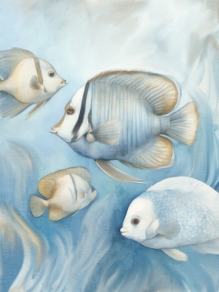 Picture of SWIM 2