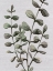 Picture of GREENS 2