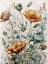 Picture of WHIMSY FLORAL FALL 2