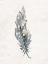 Picture of PAINTED FEATHER 1