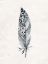 Picture of PAINTED FEATHER 3