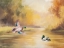 Picture of DUCK POND