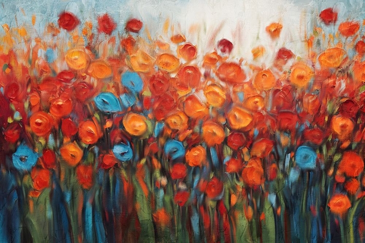 Picture of POPPY FIELD