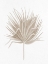 Picture of DRIED 1