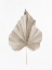 Picture of DRIED 2