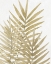 Picture of NEUTRAL TROPICAL 2