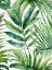 Picture of IN GREEN 1