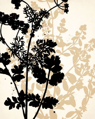Picture of BOTANICAL BLACK AND CREAM 1