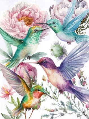 Picture of HUMMINGBIRD SONG