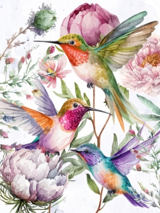 Picture of HUMMINGBIRD SONG 2