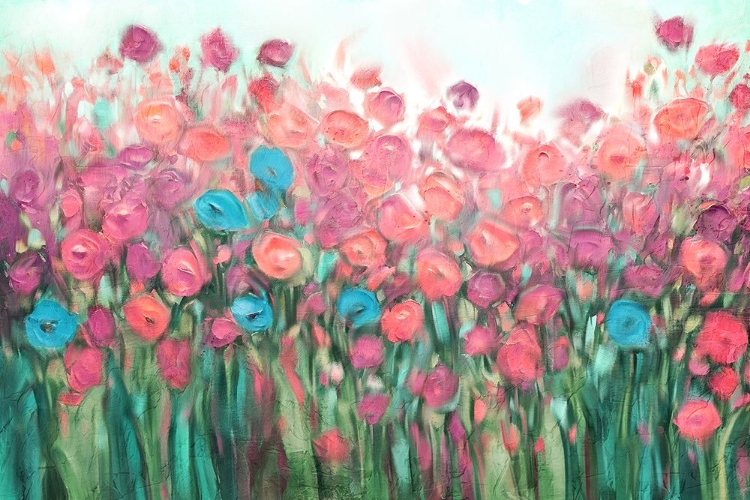 Picture of POPPIES OF SPRING