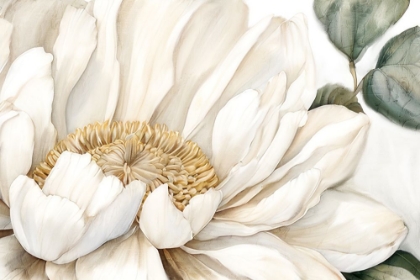 Picture of OPEN BLOOM