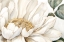 Picture of OPEN BLOOM