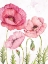 Picture of PINK POPPIES 1