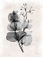 Picture of TRANSPARENT 1