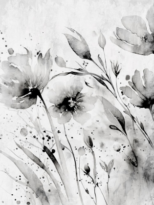Picture of WILD BLACK AND WHITE 1