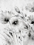 Picture of WILD BLACK AND WHITE 1