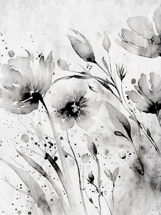 Picture of WILD BLACK AND WHITE 1