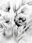 Picture of WILD BLACK AND WHITE 2