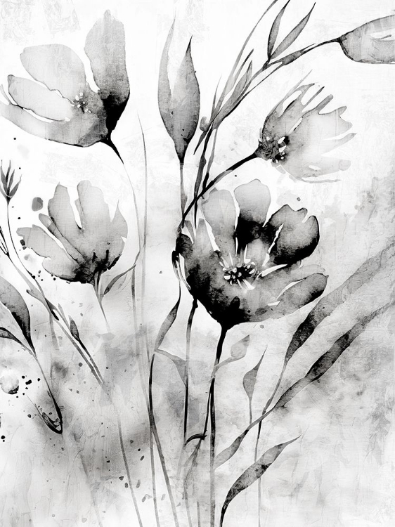 Picture of WILD BLACK AND WHITE 2
