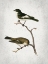 Picture of TWEET 2